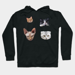 cat faces STICKER PACK Hoodie